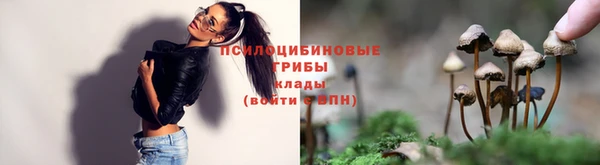 винт Беломорск
