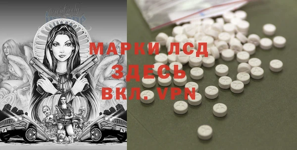 ГАЛЛЮЦИНОГЕННЫЕ ГРИБЫ Белокуриха