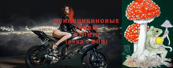 ГАЛЛЮЦИНОГЕННЫЕ ГРИБЫ Белокуриха